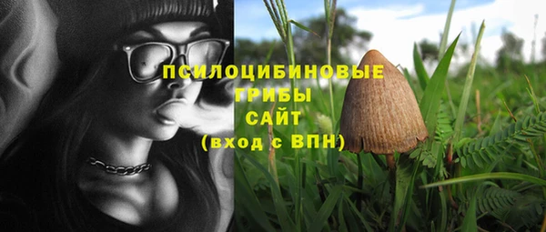 экстази Медногорск