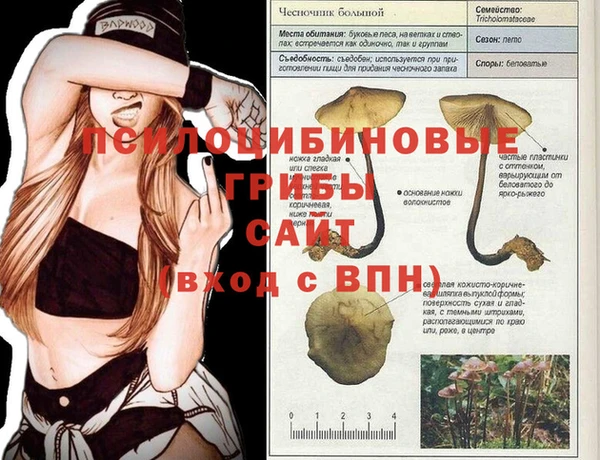 крисы Медвежьегорск
