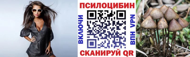 Галлюциногенные грибы Cubensis Ленинск