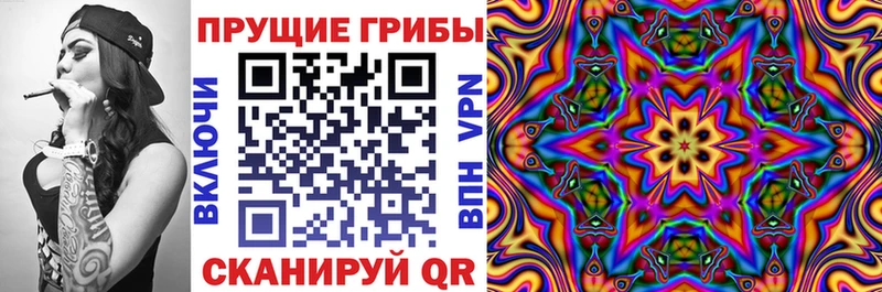 Купить закладки  Ленинск  Галлюциногенные грибы мухоморы 
