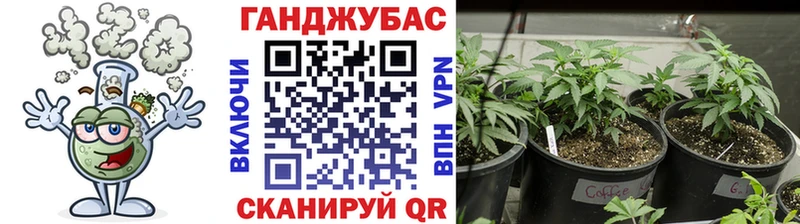Шишки марихуана семена  Купить где  Ленинск 